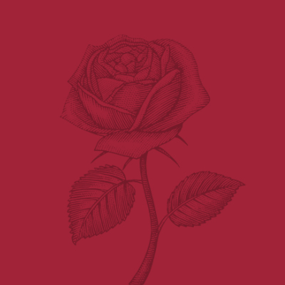 Régimes matrimoniaux